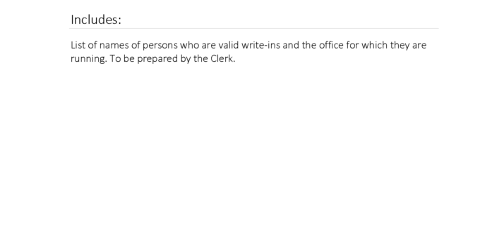 Sample section divider for Tally Book Valid Write-Ins
