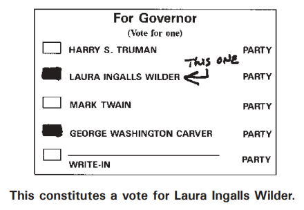 Voter Intent example for ballots hand counted (3)