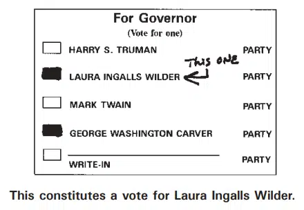 Voter Intent example for ballots hand counted (3)
