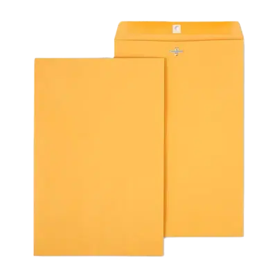 15-inch envelopes for ballots