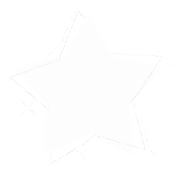 Icon white star