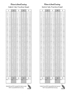 Tally Demo Practice sheet Cause of America